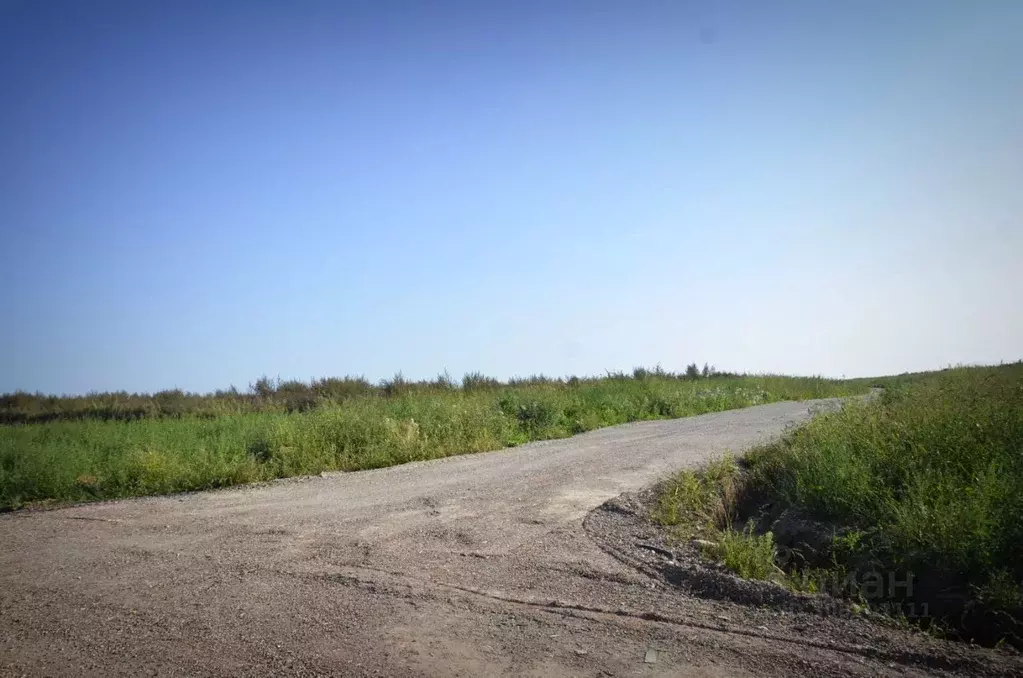 Участок в Московская область, Домодедово городской округ, д. Гальчино  ... - Фото 1