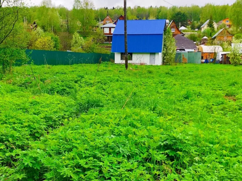 Дом в Пермский муниципальный округ, деревня Гарюшки, Набережная улица, ... - Фото 2
