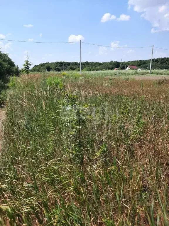 Участок в Белгородская область, Белгородский район, Беломестненское ... - Фото 0