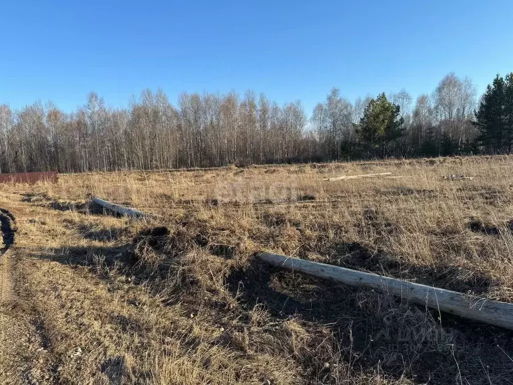 Участок в Томская область, Томский район, с. Кафтанчиково ул. ... - Фото 1