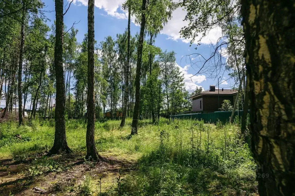 Участок в Московская область, Чехов Чеховские Усадьбы кп,  (11.4 сот.) - Фото 2