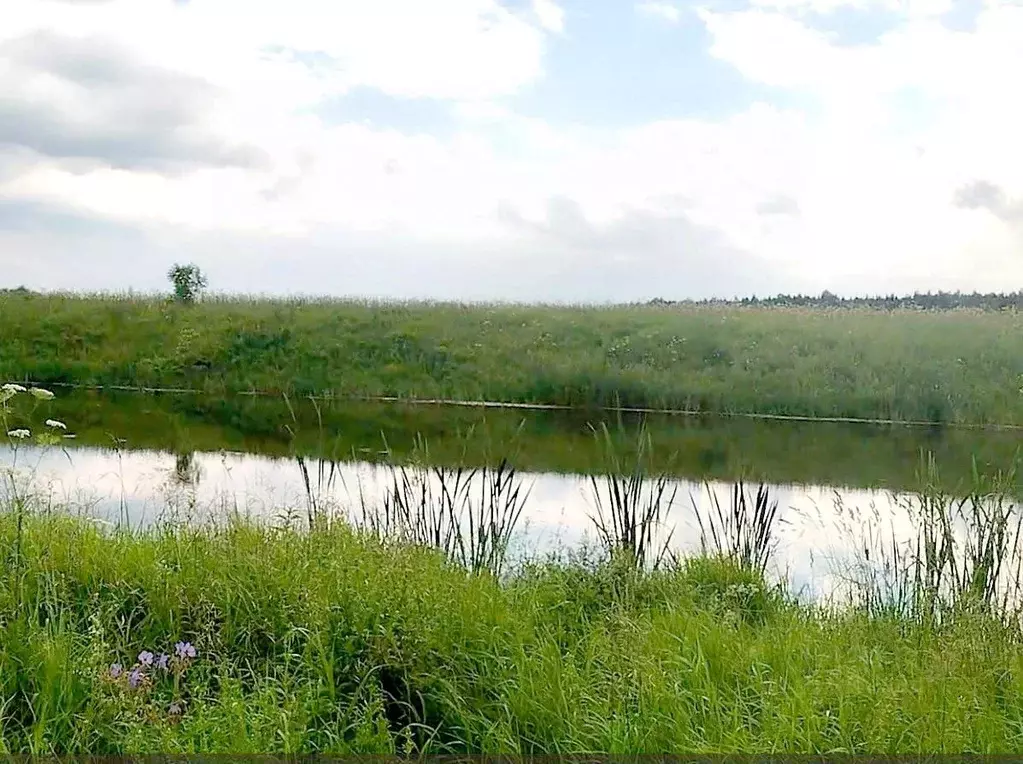 Участок в Тульская область, Суворовский район, Северо-Западное с/пос, ... - Фото 1