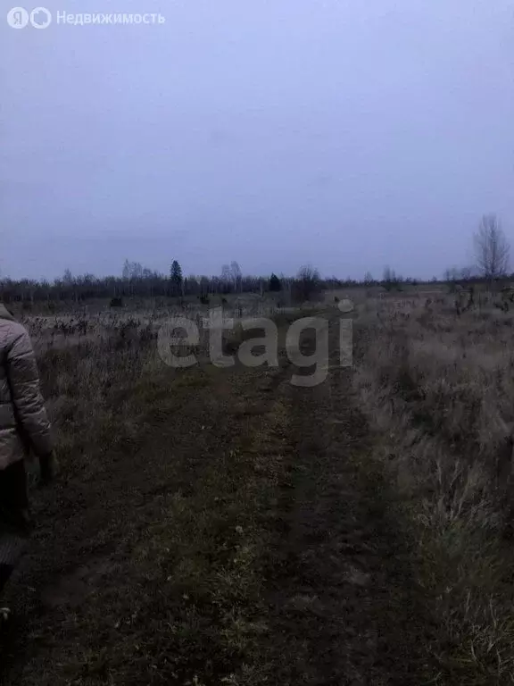 Участок в Томский район, деревня Борики (31.56 м) - Фото 2