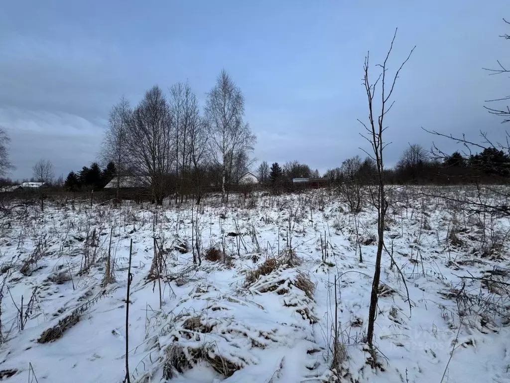 Участок в Московская область, Волоколамский муниципальный округ, д. ... - Фото 2