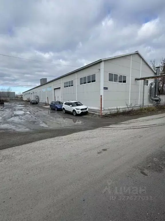 Производственное помещение в Новосибирская область, Бердск ... - Фото 1