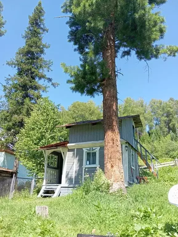 Дом в Алтай, Турочакский район, с. Артыбаш Кедровая ул., 8 (20 м) - Фото 0