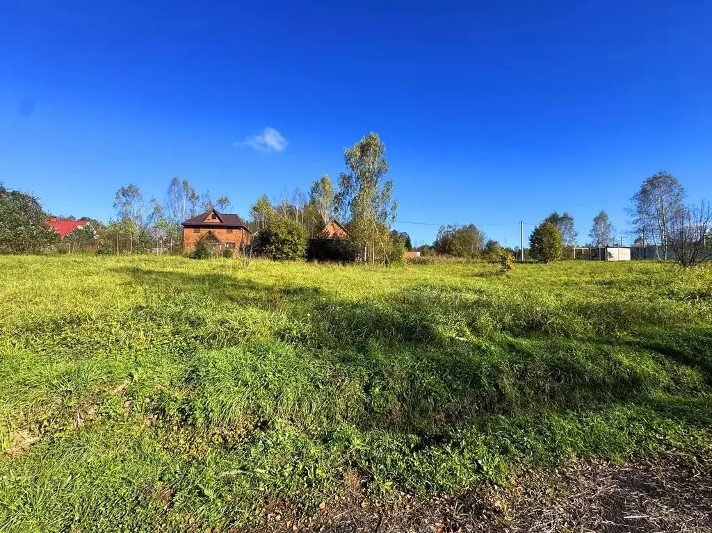 Участок в Московская область, Дмитровский муниципальный округ, Форест ... - Фото 1
