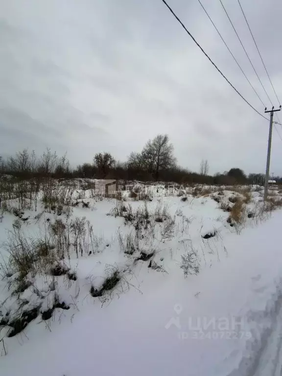 Участок в Алтайский край, Первомайский район, с. Фирсово ул. ... - Фото 1