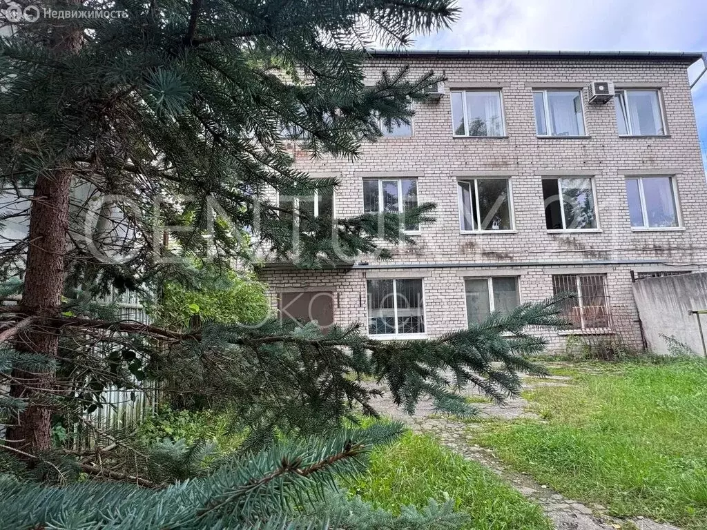 Офис (263.3 м) - Фото 2