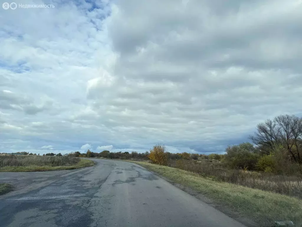 Участок в Севрюково, Луговая улица (29.15 м) - Фото 2