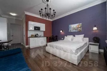 1-к кв. Санкт-Петербург наб. Реки Фонтанки, 28 (25.0 м) - Фото 1