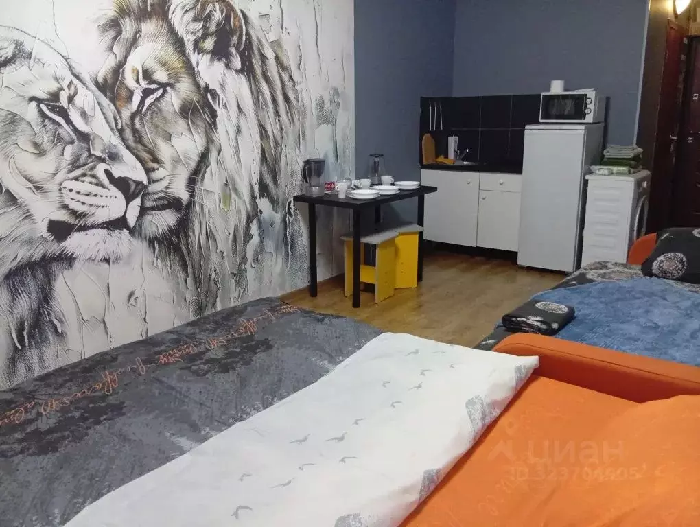 Студия Кемеровская область, Кемерово Октябрьский просп., 40 (24.0 м) - Фото 2