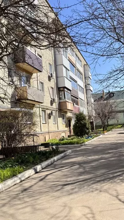 3-к кв. Орловская область, Орел Грузовая ул., 114 (61.5 м) - Фото 1