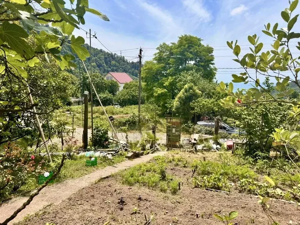 Дом в Краснодарский край, Сочи ул. Володарского, 14 (21 м) - Фото 1