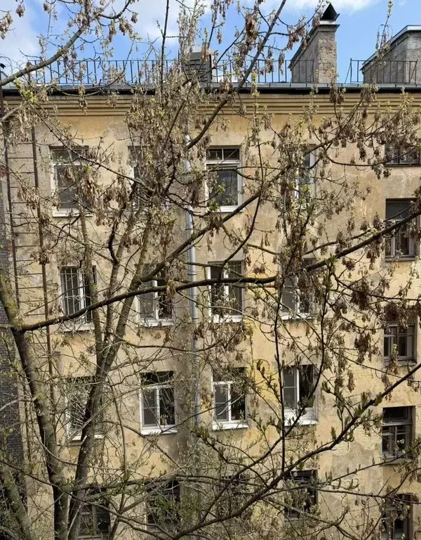 2-к кв. Санкт-Петербург Дровяной пер., 3 (50.0 м) - Фото 1