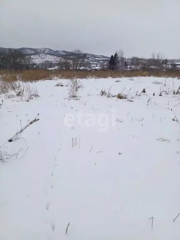 Участок в Алтайский край, Алтайский район, с. Алтайское ул. Зеленый ... - Фото 0