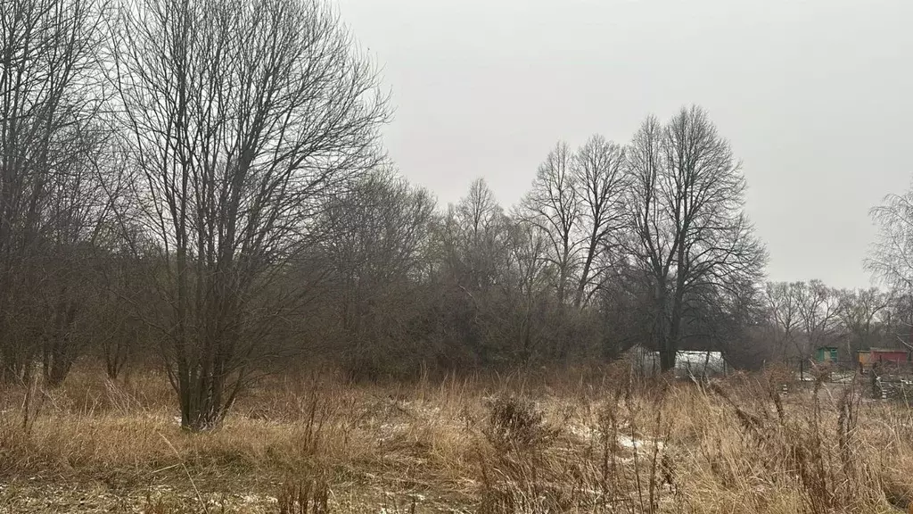 Участок в Московская область, Ступино городской округ, д. Дворяниново  ... - Фото 0