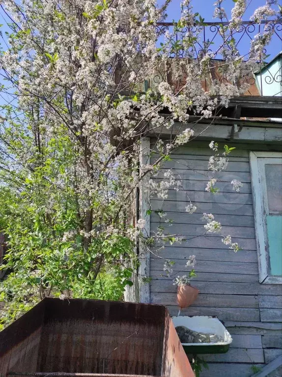 Дача 50 м на участке 4,5 сот. - Фото 0