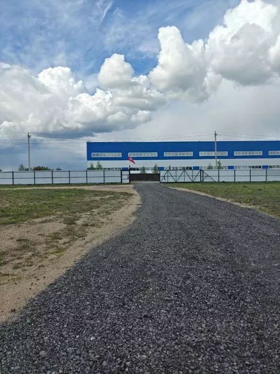 Производственное помещение в Калужская область, Жуков Советская ул. ... - Фото 2