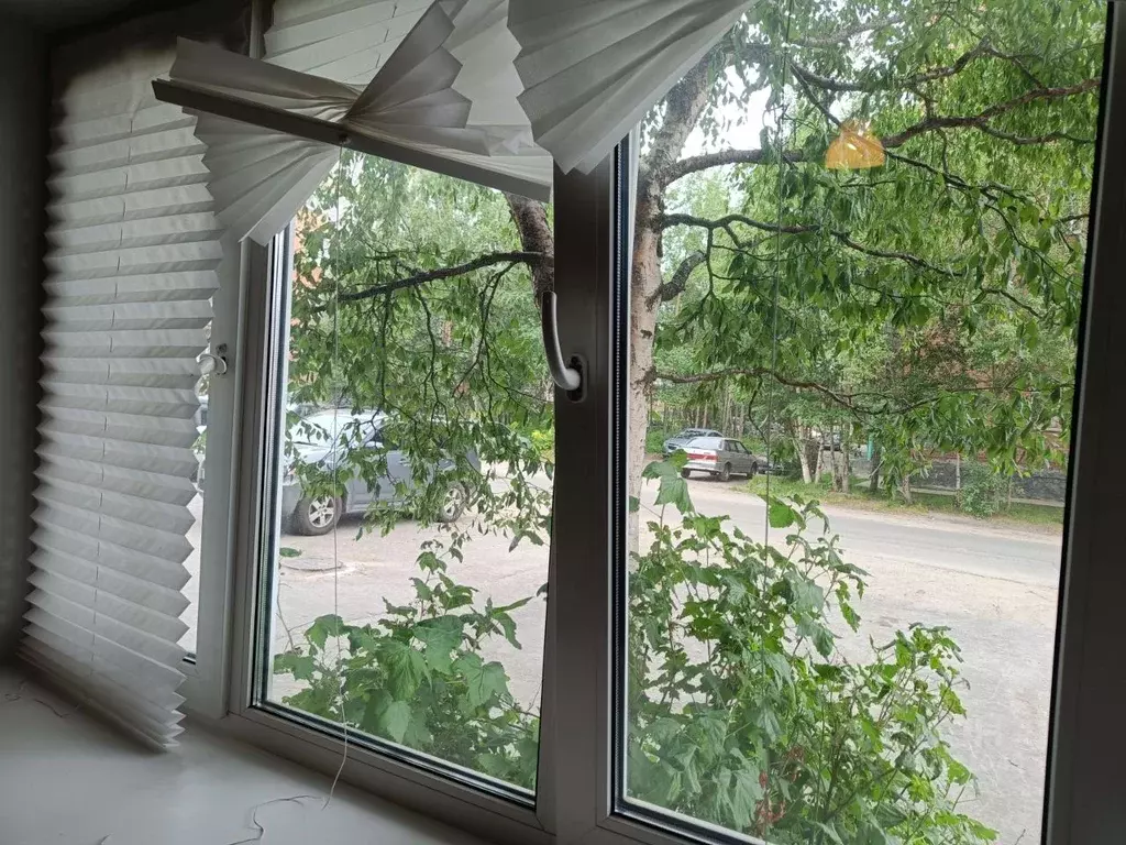 2-к кв. Мурманская область, Мончегорск Ленинградская наб., 28К1 (51.0 ... - Фото 2