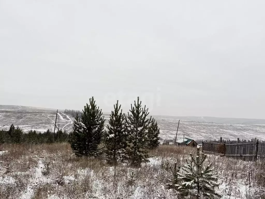 Участок в Красноярский край, Сосновоборский муниципальный округ, с. ... - Фото 1