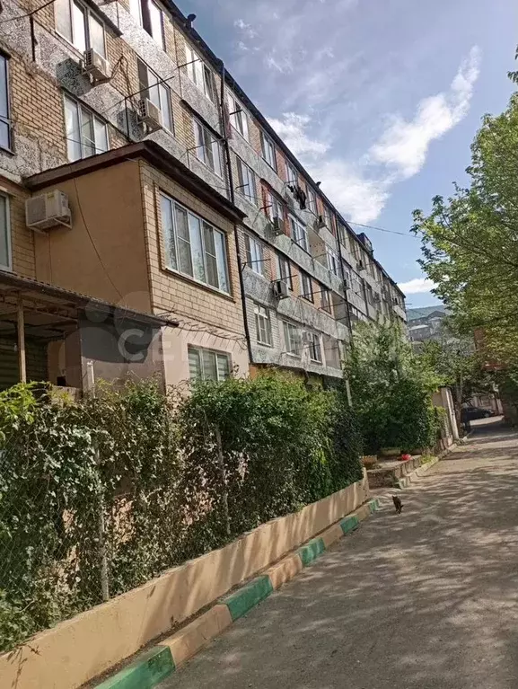 2-к. квартира, 65 м, 4/5 эт. - Фото 0