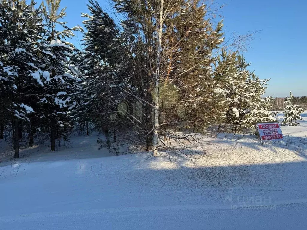 Участок в Иркутская область, Иркутский муниципальный округ, пос. ... - Фото 2