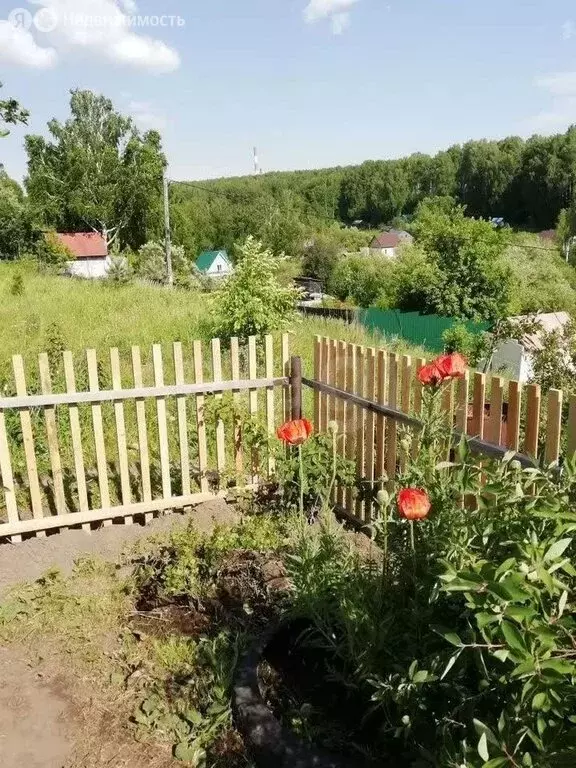 Участок в Новосибирск, НСТ Ветеран, Береговая улица (3.6 м) - Фото 2