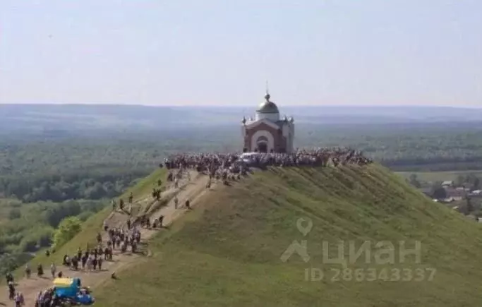 Дом в Ульяновская область, Сурское рп ул. Жигарина (80 м) - Фото 2