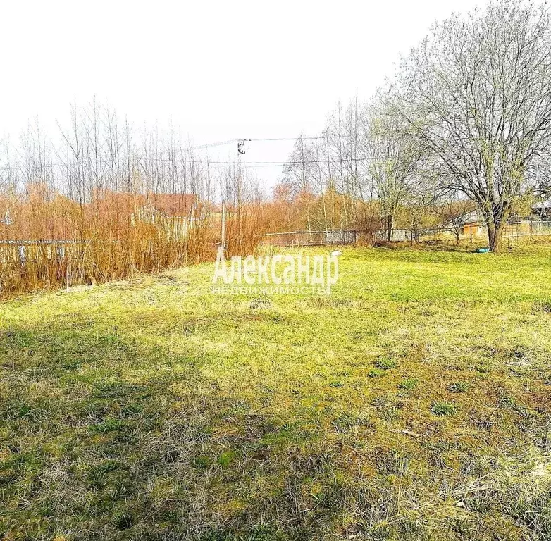 Участок в Ленинградская область, Приозерский район, Сосновское с/пос, ... - Фото 2