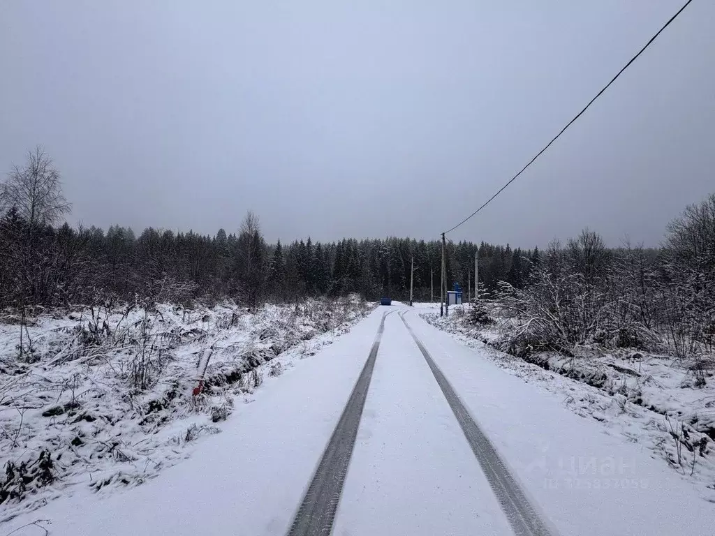 Участок в Московская область, Солнечногорск городской округ, ВамДом ... - Фото 2