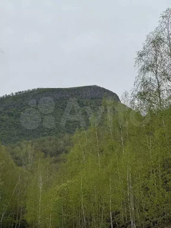 Участок 10 сот. (ИЖС) - Фото 0