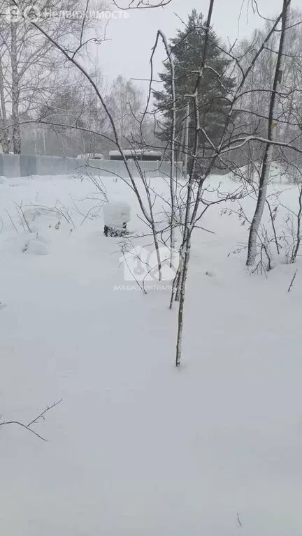 Участок в Барлакский сельсовет (6 м) - Фото 1