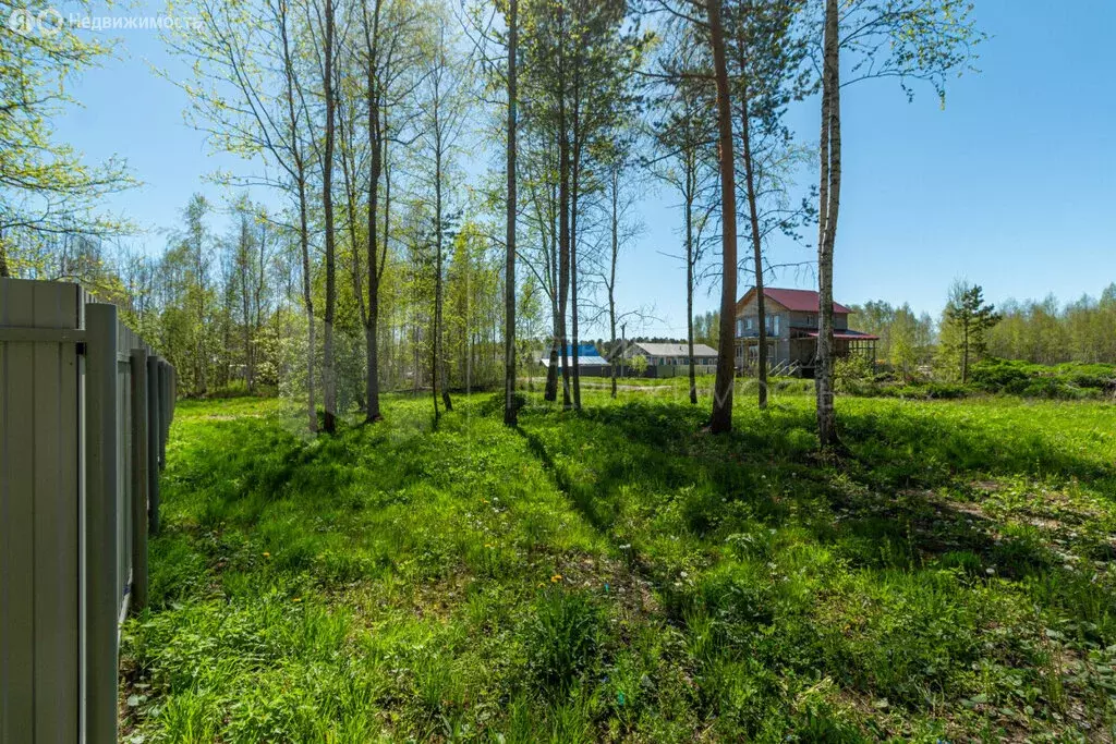 Участок в село Тюнево, Южная улица, 7 (7.92 м) - Фото 0