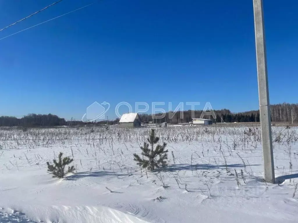 Участок в Тюменская область, Тюменский район, с. Каменка, Подушкино ... - Фото 1