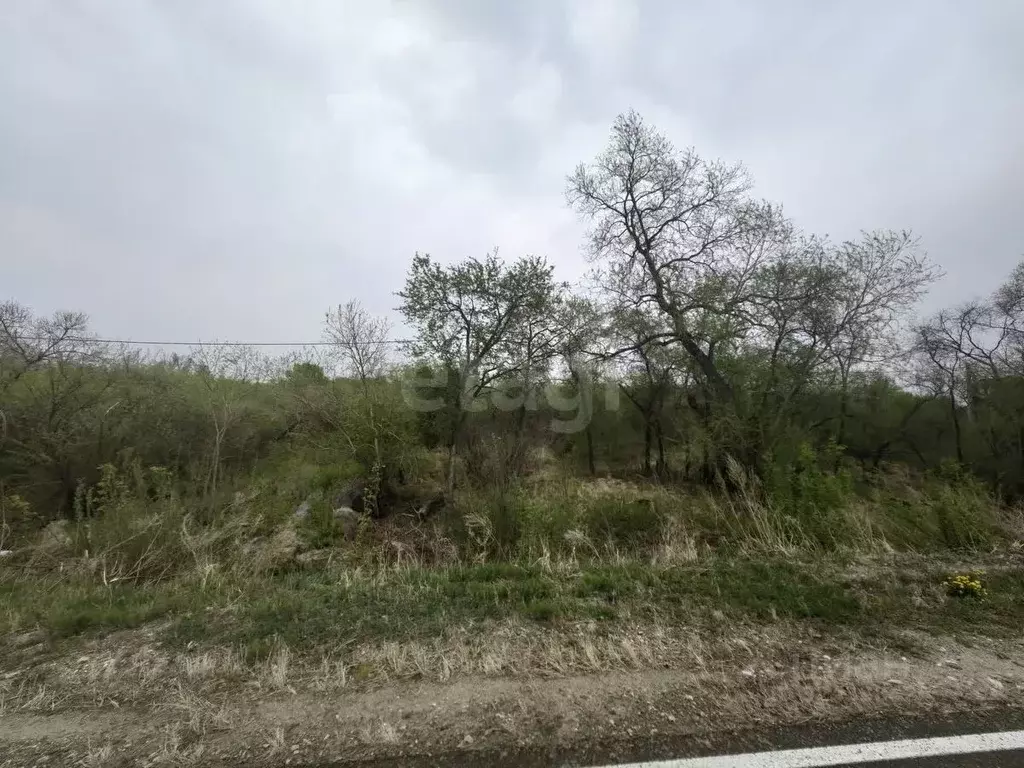 Участок в Амурская область, Благовещенск пос. Зазейский,  (15.0 сот.) - Фото 1