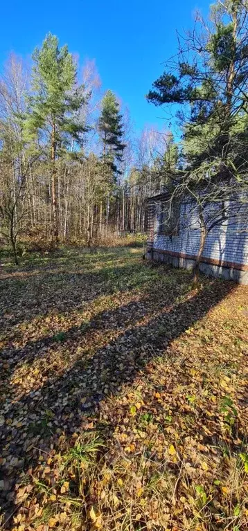Дом в Санкт-Петербург просп. Коннолахтинский, 10к10 (93 м) - Фото 0