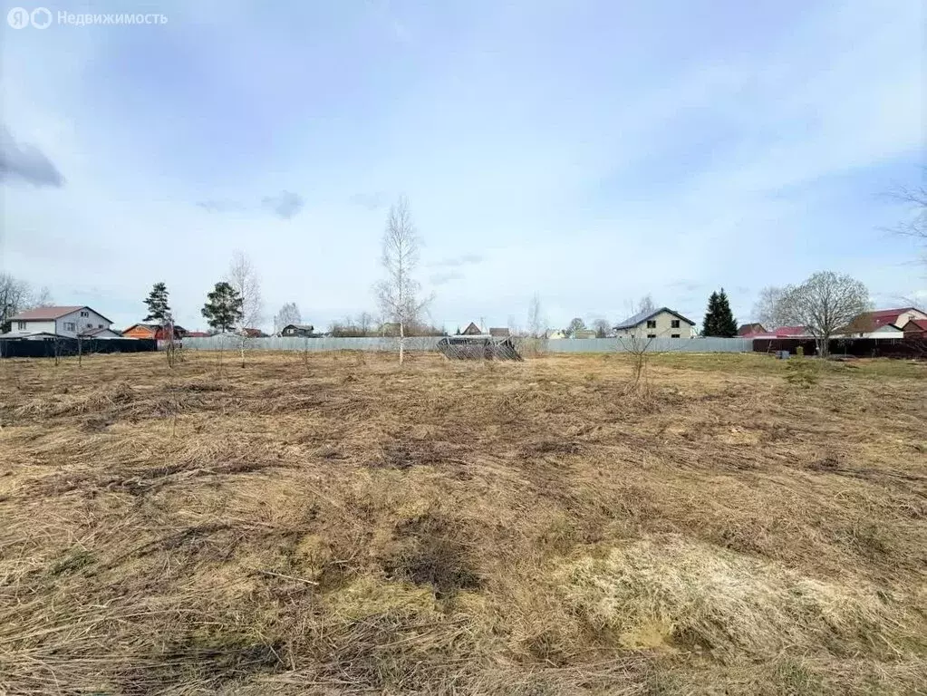 Участок в Владимирская область, городской округ Покров, деревня ... - Фото 2