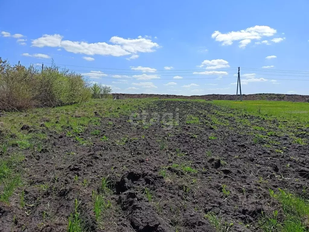 Песок Новая Усмань Купить
