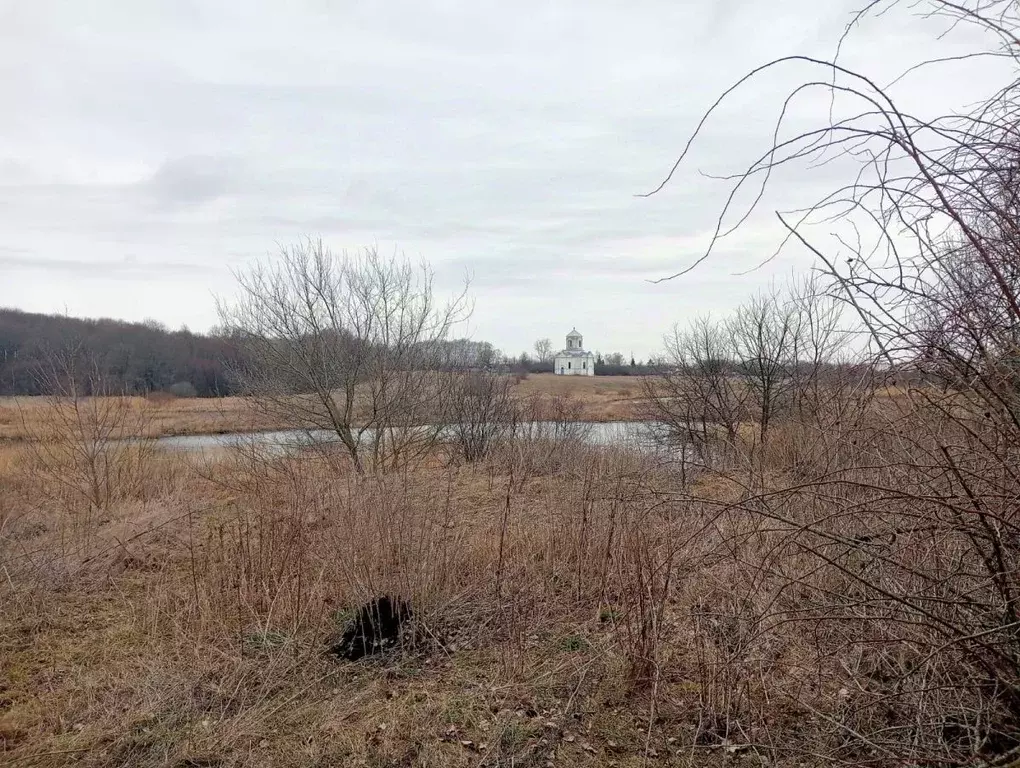 Участок в Тамбовская область, Никифоровский муниципальный округ, с. ... - Фото 2