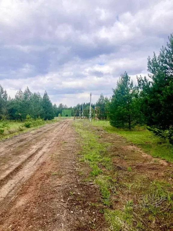 Участок в Удмуртия, Завьяловский район, с. Гольяны ул. Чехова (10.0 ... - Фото 1