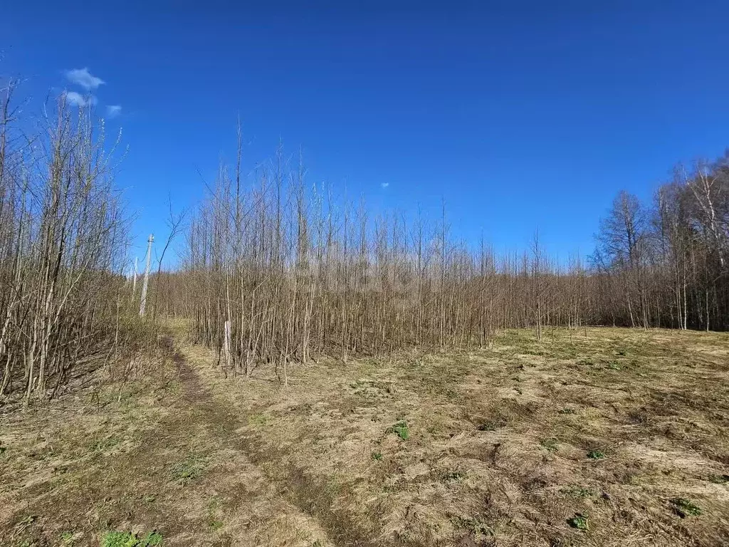 Участок в Коми, Сыктывдинский район, с. Выльгорт  (11.4 сот.) - Фото 0