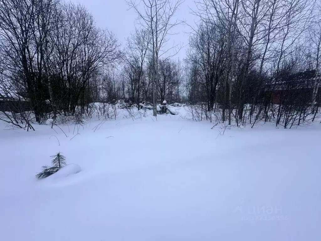 Участок в Московская область, Богородский городской округ, д. ... - Фото 1