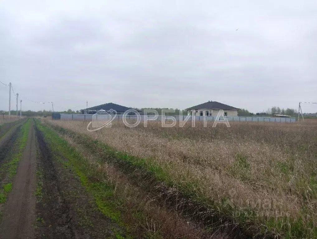 Участок в Тюменская область, Тюмень Яровское садовое товарищество, ул. ... - Фото 1