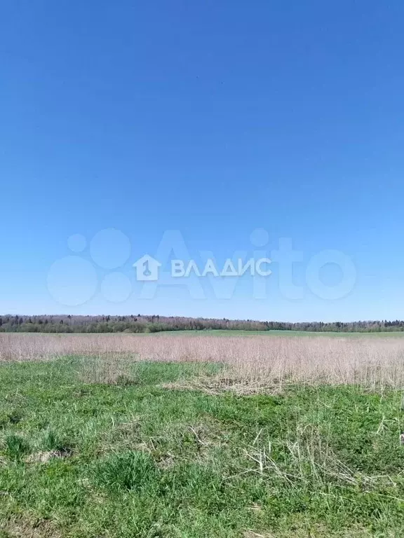 Участок 15,3 га (личное подсобное хозяйство (лпх)) - Фото 0