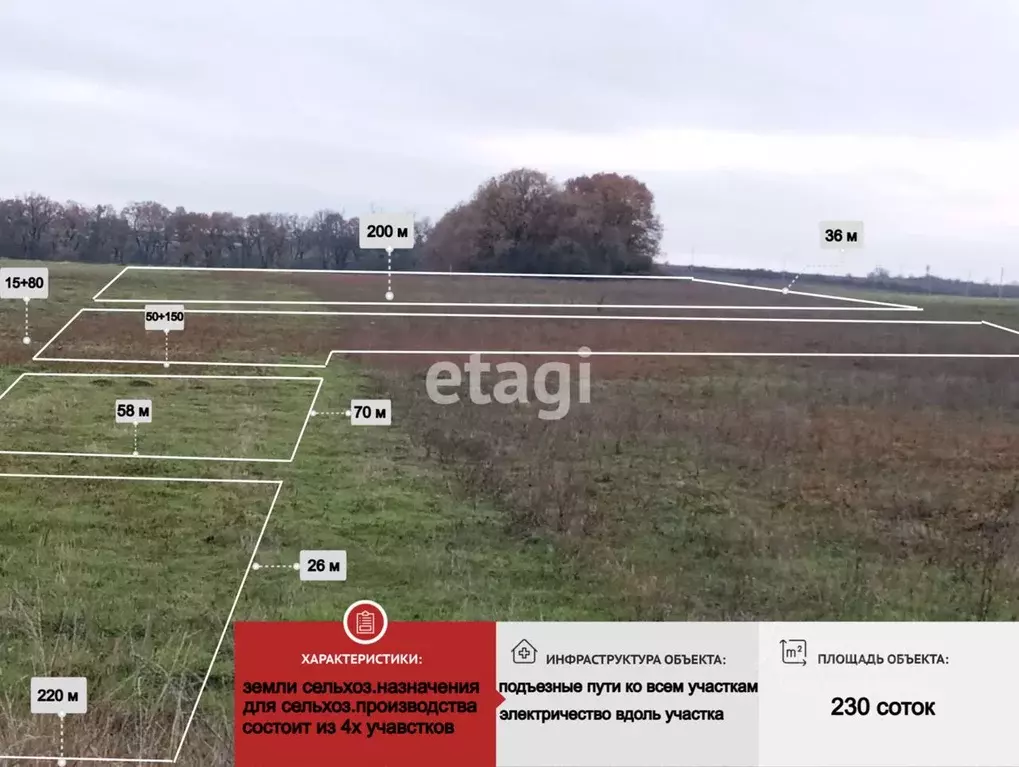 Участок в Краснодарский край, Новороссийск городской округ, ... - Фото 0