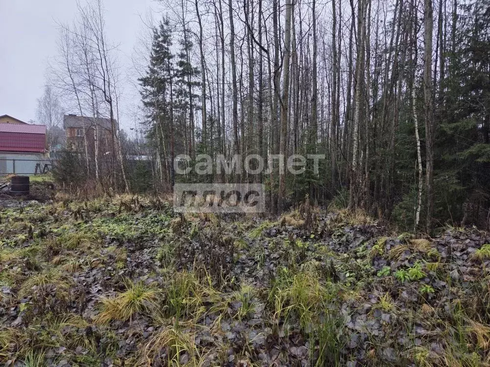 Участок в Марий Эл, Медведевский район, Сидоровское с/пос, д. ... - Фото 2