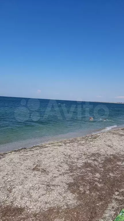 Участок 6 сот. (СНТ, ДНП) - Фото 1