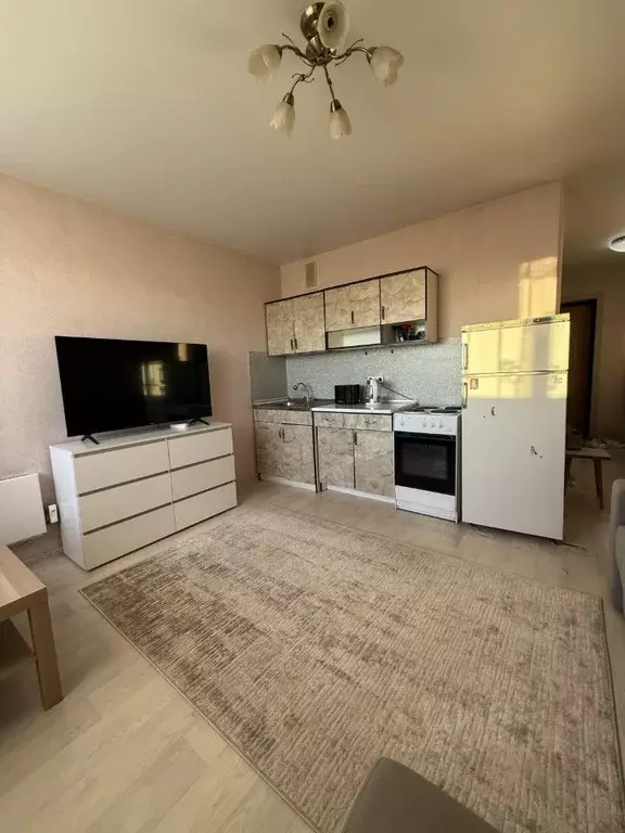 Студия Самарская область, Тольятти ул. 40 лет Победы, 51В (26.4 м) - Фото 2