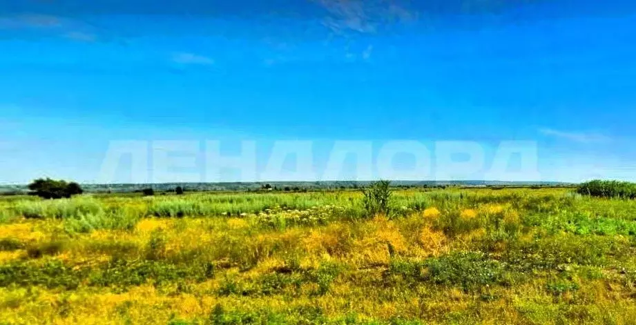 Участок в Ростовская область, Аксайский район, Старочеркасская ст-ца, ... - Фото 2